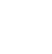 sve-icon5